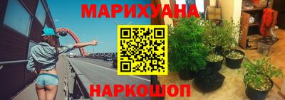 дурь Пугачёв
