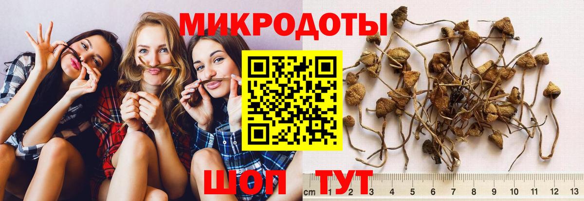 Псилоцибиновые грибы прущие грибы Ржев